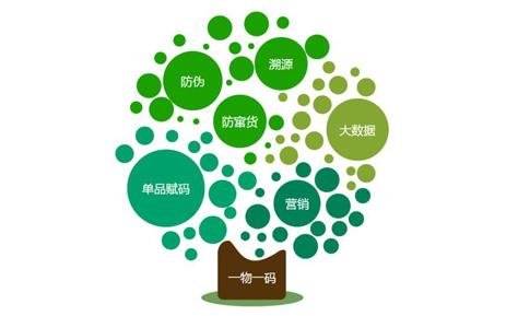 H5响应式网站建设
