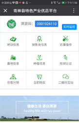 响应式网站案例